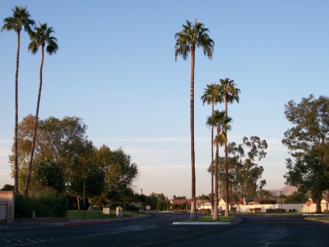 Gated ressort leisure world arizona